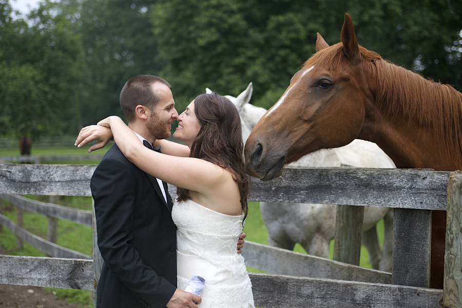 couple embraces by horses