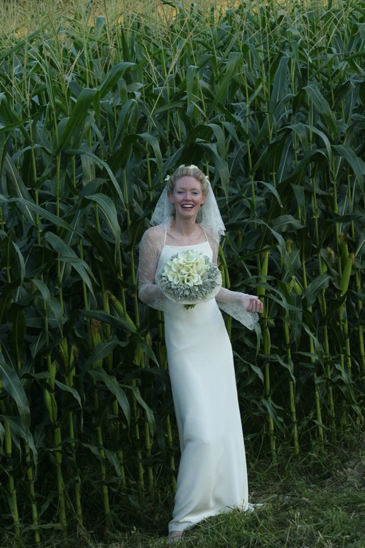 bride cornfield NY country wedding